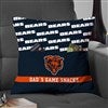 Product Thumbnail 14 Inch Pillow