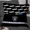Product Thumbnail 18 Inch Pillow