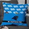 Product Thumbnail 18 Inch Pillow