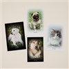Product Thumbnail Panel Inserts Only