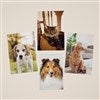 Product Thumbnail Panel Inserts Only