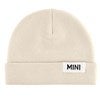 Product Thumbnail Mini Hat