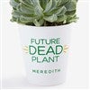 Product Thumbnail View Design