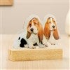 Product Thumbnail In Wood Base (sold separately)