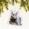 Product Thumbnail Photo Example 2