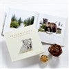 Product Thumbnail Main Image
