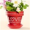 Product Thumbnail Red Flower Pot
