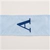 Product Thumbnail Close Up of Blue Bow