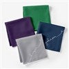 Product Thumbnail Color Options 