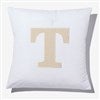 Product Thumbnail Velvet Pillow