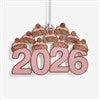 Product Thumbnail Pink Ornament