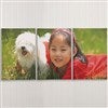Product Thumbnail Horizontal Photo 12x18 panels