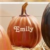 Product Thumbnail Environmental View Small Pumpkin