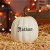 Product Thumbnail Environmental View Small Cream Pumpkin
