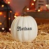 Product Thumbnail Small Cream Pumpkin