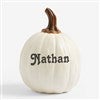 Product Thumbnail Small Cream Pumpkin