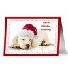 Product Thumbnail Front of Card