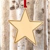 Gold Glitter Star Ornament