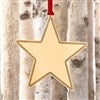 Product Thumbnail Gold Glitter Star Ornament