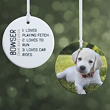 Definition of My Pet Personalized Pet Ornament - 15076
