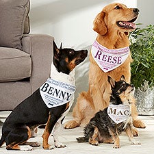 Personalized Pet Bandana - Doggie Delights - 16407