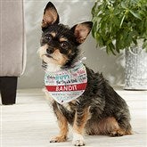 Small Dog Bandana