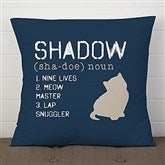 18 x 18 Pillow