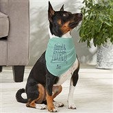 Medium Dog Bandana