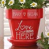 Red Flower Pot