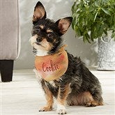 Small Dog Bandana