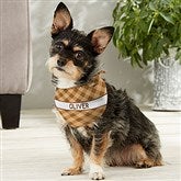 Small Dog Bandana