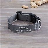 Small Dog Collar