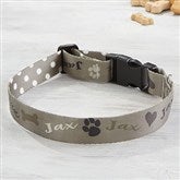 Large/XL Dog Collar