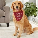 Large Dog Bandana