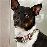 Small/Medium Dog Collar