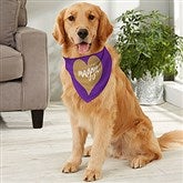 Large Dog Bandana