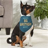 Big Brother Embroidered Dog Bandanas Personalized – Three Spoiled Dogs  Boutique