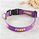 Large/XL Dog Collar