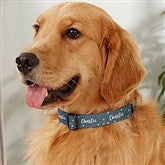 Large Dog Collar