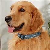 Large/XL Dog Collar