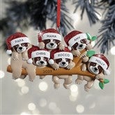 6 Sloth Characters