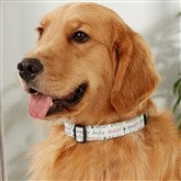 Large Dog Collar