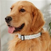 Large/XL Dog Collar
