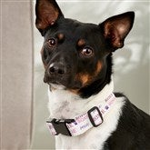 Small/Medium Dog Collar