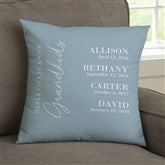 14 x 14 Velvet Pillow