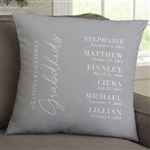 18 x 18 Velvet Pillow