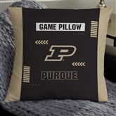 18 x 18 Pillow