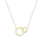 Gold Necklace- 2 Stones