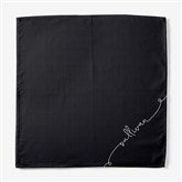 Napkin