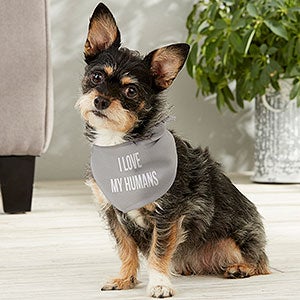 Pet Expressions Personalized Dog Bandana- Small - 19041